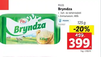 Lidl Pilos Bryndza ajánlat