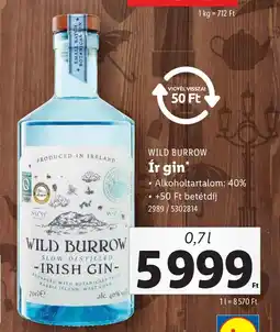 Lidl Wild Burrow Irish Gin ajánlat