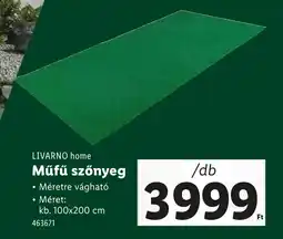 Lidl Livarno home műfű szőnyeg ajánlat