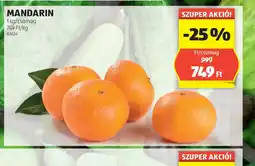 ALDI Mandarin ajánlat