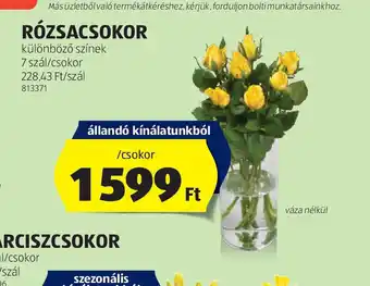 ALDI Rzsacsokor ajánlat