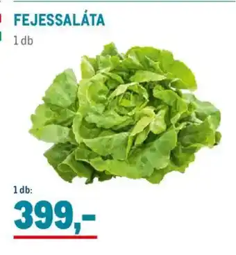 Metro Fejessaláta ajánlat