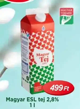 Real Magyar ESL tej 2,8% ajánlat