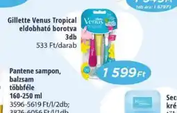 Real Gillette Venus Tropical eldobhat borotva ajánlat