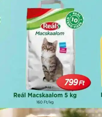 Real Réal Macskaaalom ajánlat