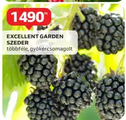 Auchan Excellent garden szeder ajánlat