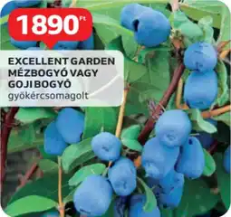 Auchan Excellent garden mézbogyó vagy goji bogyó ajánlat