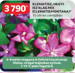 Auchan Klematisz, hegyi iszalag mix (clematis montana) ajánlat