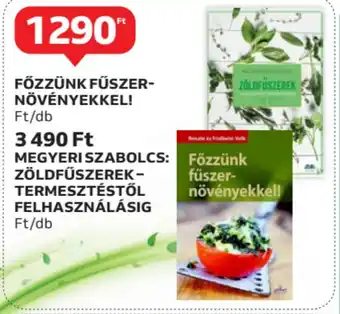 Auchan Főzzünk fűszer- növényekkel! Stb. ajánlat