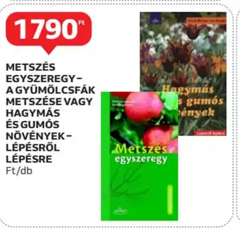 Auchan Metszés egyszeregy- a gyümölcsfák metszése stb. ajánlat