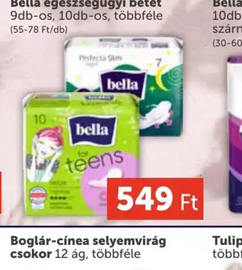 PRIVÁT Bella egésznagyi betét ajánlat