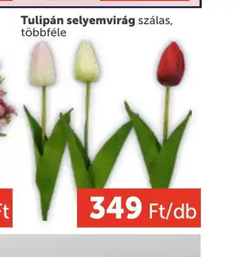 PRIVÁT Tulipán selyemvirág szál ajánlat