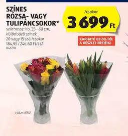 ALDI Színes rzsa- vagy tulipáncsokor ajánlat