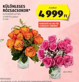 ALDI Különleges rzsaszokok ajánlat