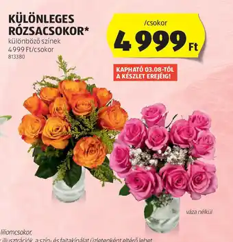 ALDI Különleges rzsaszokok ajánlat