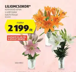 ALDI Liliomcsokor ajánlat