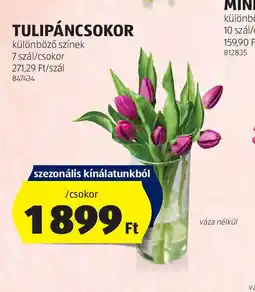 ALDI Tulipáncsokor ajánlat