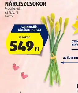 ALDI Nárciszcsokor ajánlat