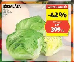 Jégsaláta