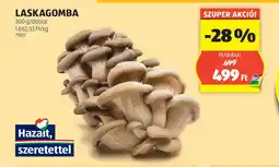 ALDI Laskagomba ajánlat