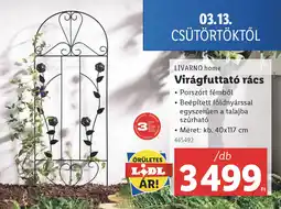 Lidl LIVARNO home Virágfuttató rács ajánlat