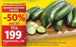 Lidl Kígyóuborka ajánlat