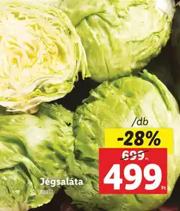 Jégsaláta