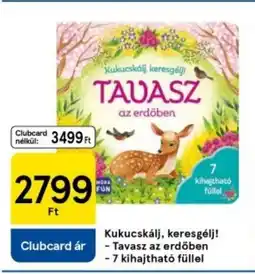 Tesco Kukucskálj, keresgélj! - Tavasz az erdőben -7 kihajtható füllel ajánlat