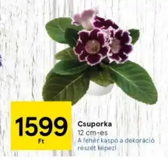 Tesco Csuporka ajánlat