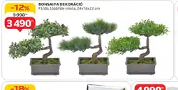 Auchan Bonsai fa dekoráci ajánlat