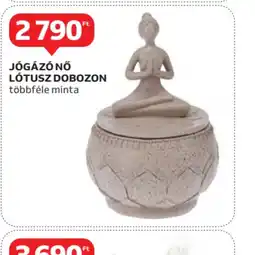 Auchan Jgáz nő ltusz dobozon ajánlat