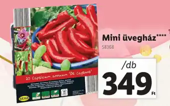 Lidl Mini üvegház ajánlat