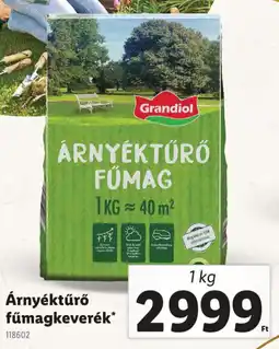 Lidl Árnyéktűrő fűmagkeverék ajánlat