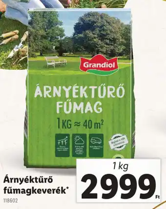 Lidl Árnyéktűrő fűmagkeverék ajánlat