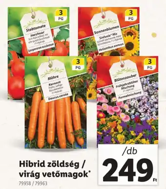 Lidl Hibrid zöldség / virág vetőmagok ajánlat