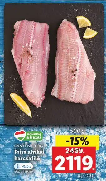 Lidl FRESH FISH TODAY Friss afrikai harcsafilé ajánlat