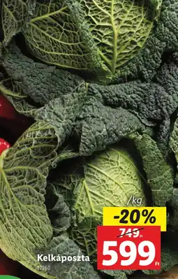 Lidl Kelkáposzta ajánlat