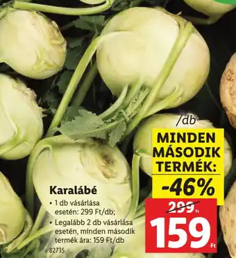 Lidl Karalábé ajánlat