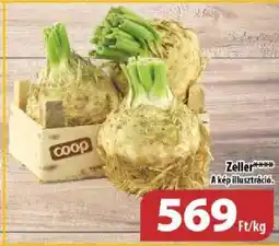 Coop Zeller ajánlat