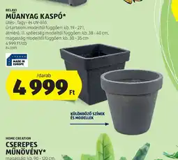 ALDI Műanyag Kasp ajánlat