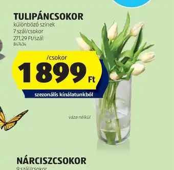 ALDI Tulipáncsokor ajánlat