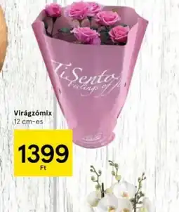 Tesco Ti Sento rzsa ajánlat