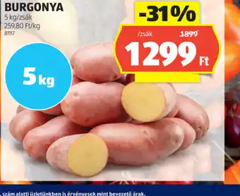 ALDI Ziemniaki Burgonya ajánlat