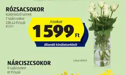 ALDI ROZSACSOKOR ajánlat