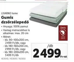 Lidl Livarno home gumis dzsörzélepedő ajánlat