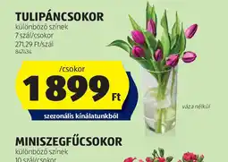 ALDI Tulipáncsokor ajánlat