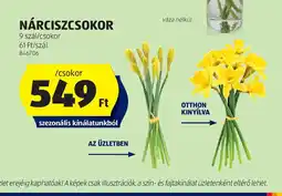 ALDI Narcyzscsokor ajánlat