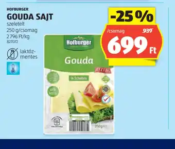 ALDI Hofburger Gouda sajt ajánlat