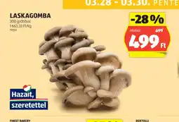 ALDI Laskagomba ajánlat