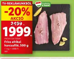 Lidl Friss afrikai harcsafilé ajánlat